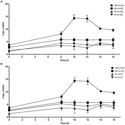 Bacterial enrichment prior to third-generation metagenomic sequencing improves detection of BRD pathogens and genetic determinants of antimicrobial resistance in feedlot cattle